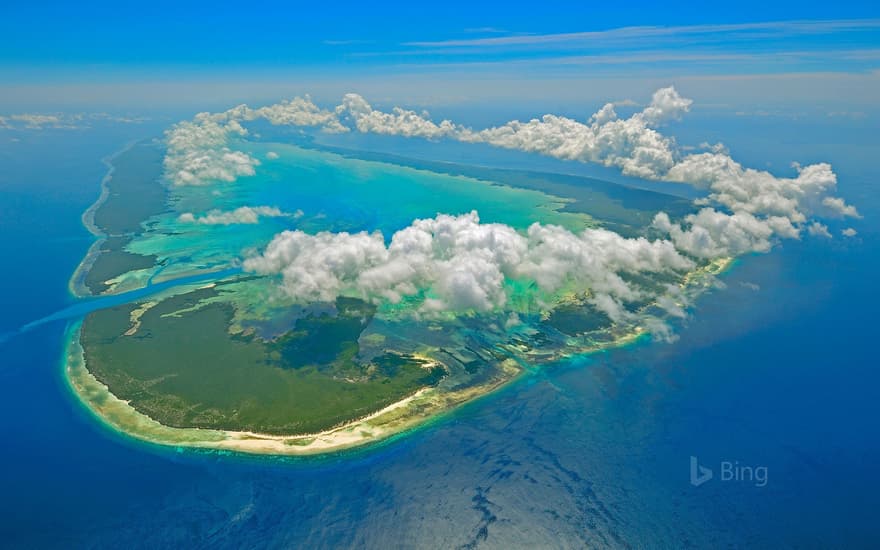 Aldabra of the Seychelles in the Indian Ocean