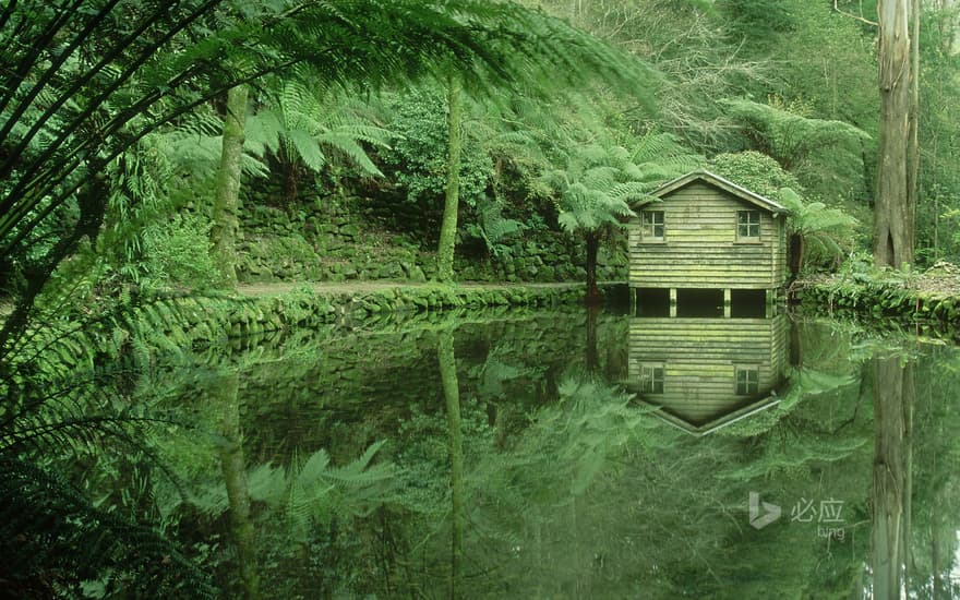 Alfred Nicholas Memorial Gardens, Dandenong Ridge, Victoria, Australia