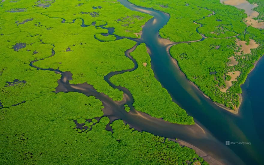 Aerial view of the Amazon River in Brazil