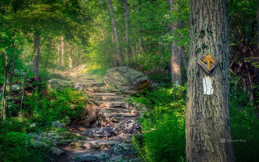 Appalachian Trail, Stokes State Forest, New Jersey, USA