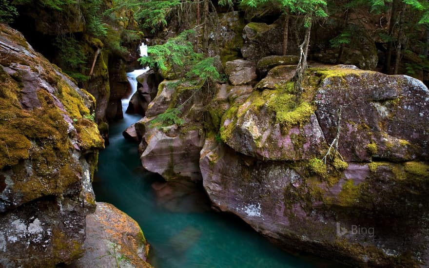 Avalanche Creek in Glacier National Park, Montana, USA