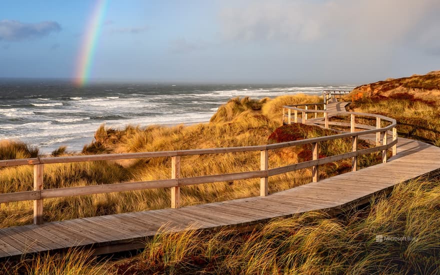 Wooden plank path in the dunes near Wenningstedt, Sylt, Schleswig-Holstein