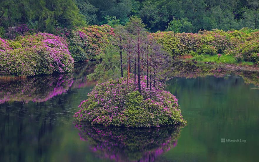 Small loch in Glen Etive, Scotland