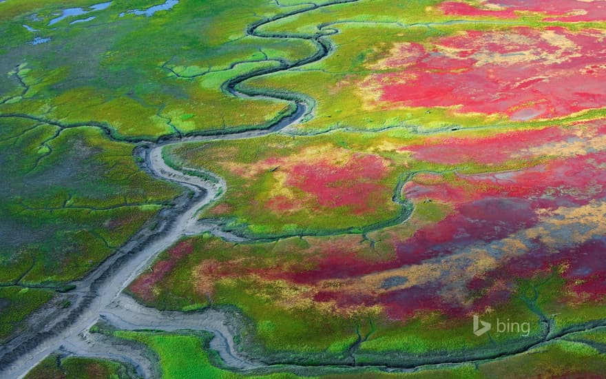 Tidal flats, Katmai National Park, Alaska