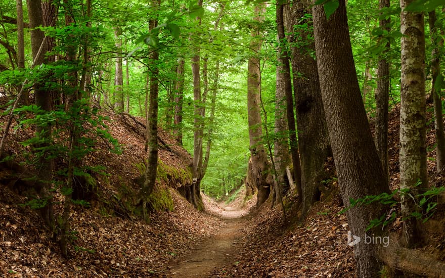 Natchez Trace National Scenic Trail, Mississippi