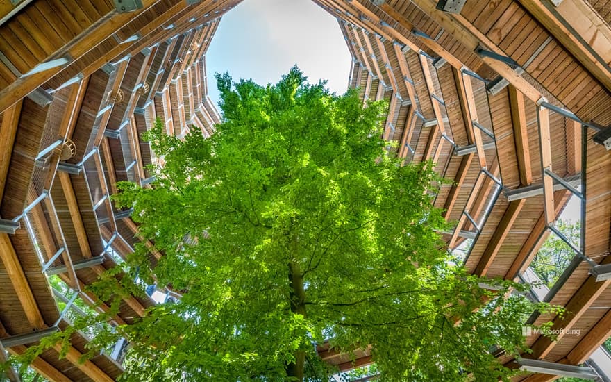 Treetop Walk Natural Heritage Center Rügen near Prora, Rügen