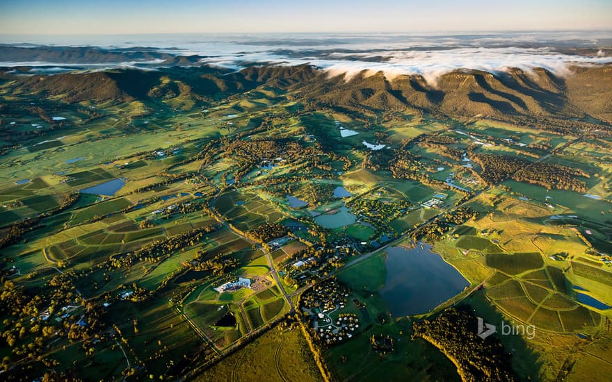 Wine country near Pokolbin in the Hunter Region, New South Wales, Australia