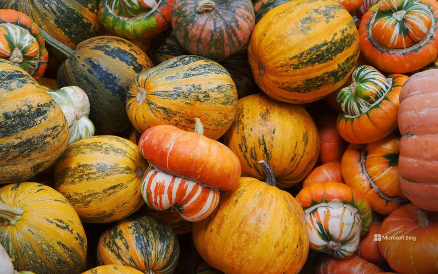 Pumpkins and squashes