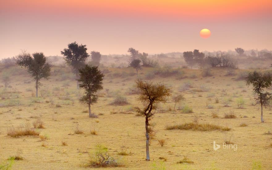 Thar Desert near Jaisalmer, Rajasthan, India