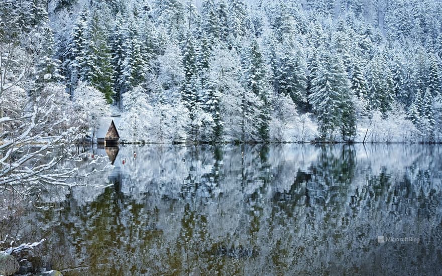 Lac de Longemer in the Vosges, Lorraine, France.